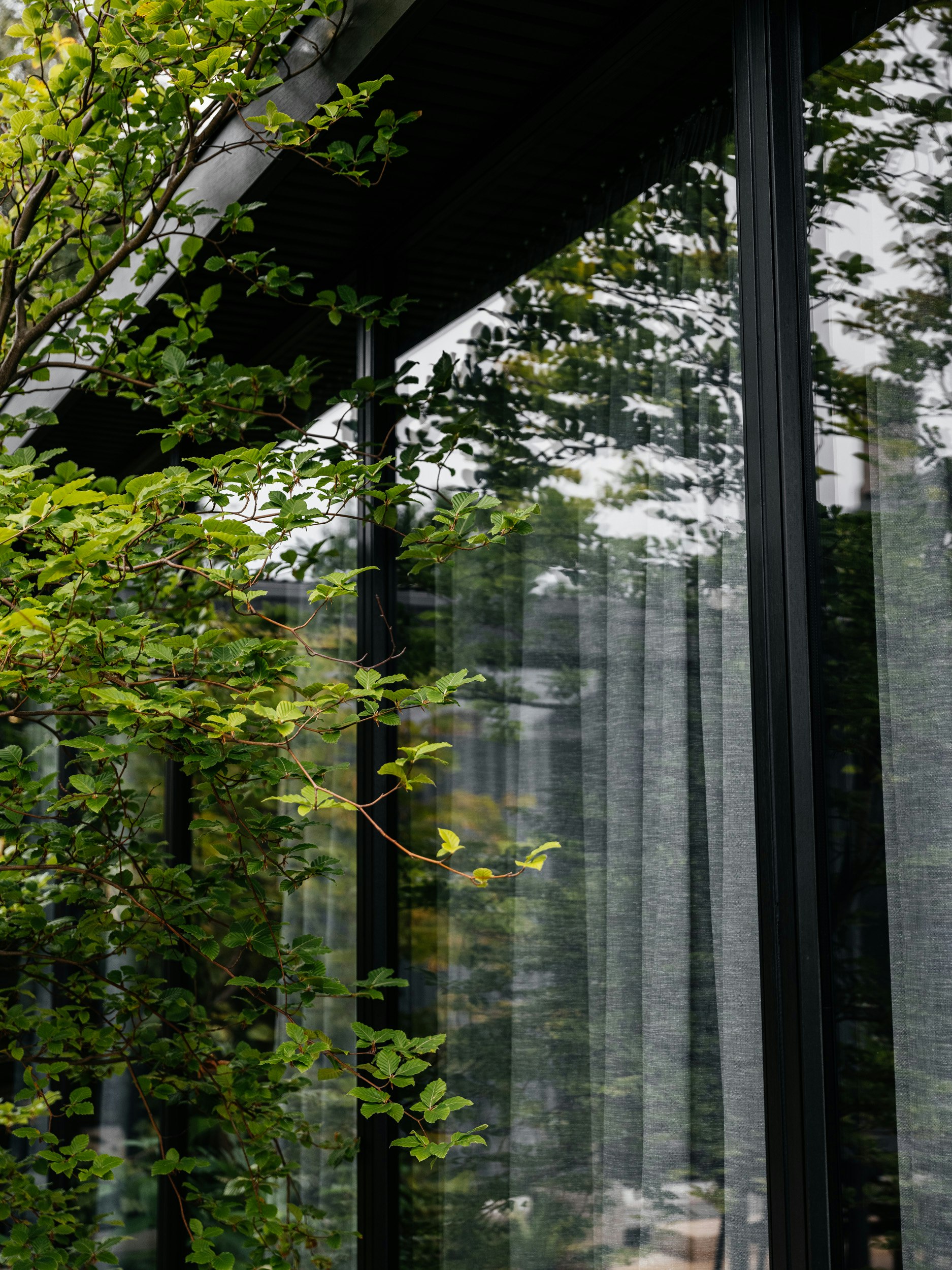 Hampden Road House Archier